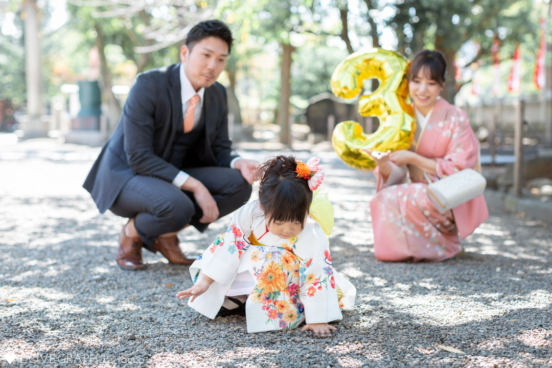 T family 753 |