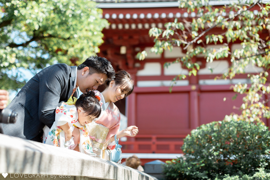 T family 753 |