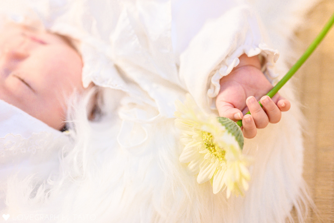 Nonoka Family |