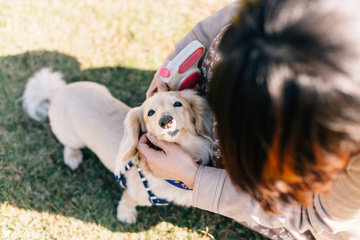 愛犬と大洗海水浴場 | 夫婦フォト