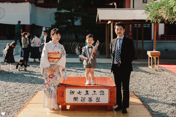 M.T 七五三 |