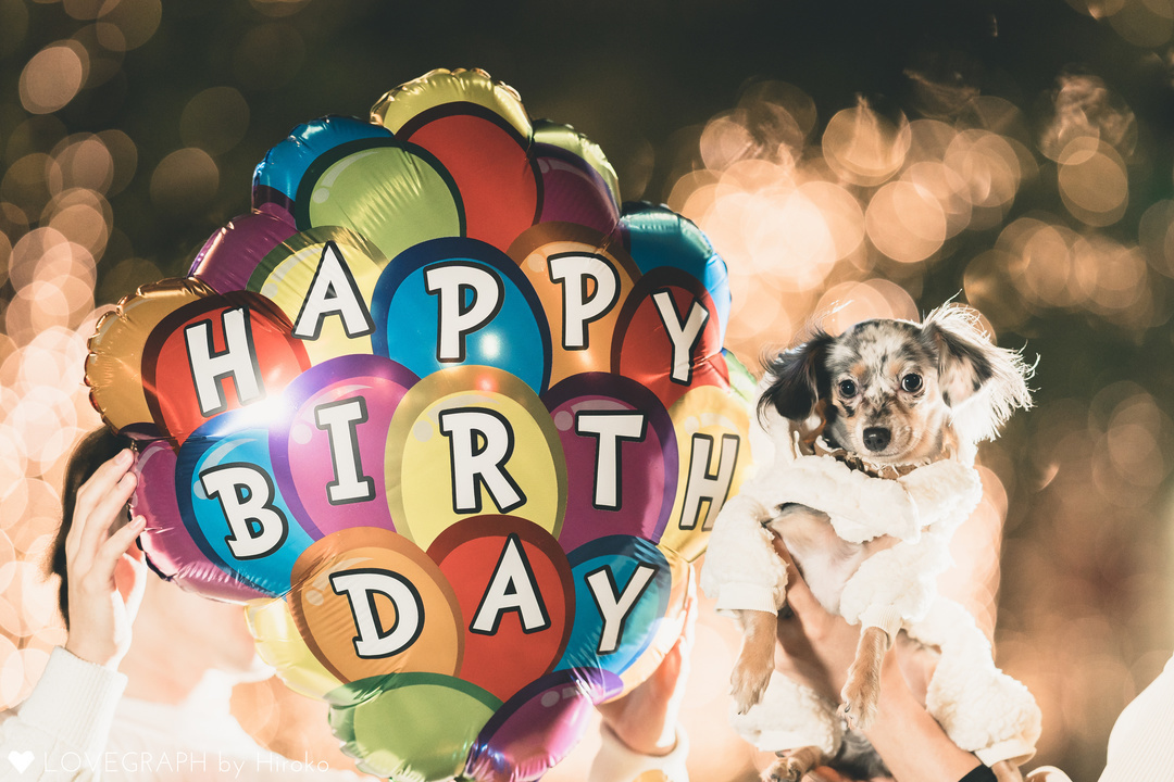 Vivi 1st birthday | カップルフォト