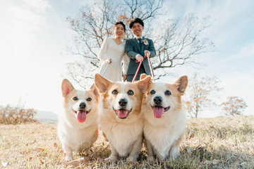Ryota × Aki | 夫婦フォト