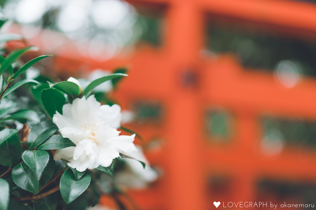 shiori753 |