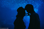 Taishi × Miki | カップルフォト