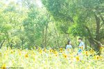 Daiki × Shiho | カップルフォト