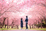 Ayako × Hiromu | カップルフォト