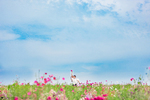 Mariko × Yuma | カップルフォト
