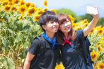 Small 7