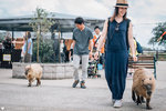 Naoki×Aki | 夫婦フォト