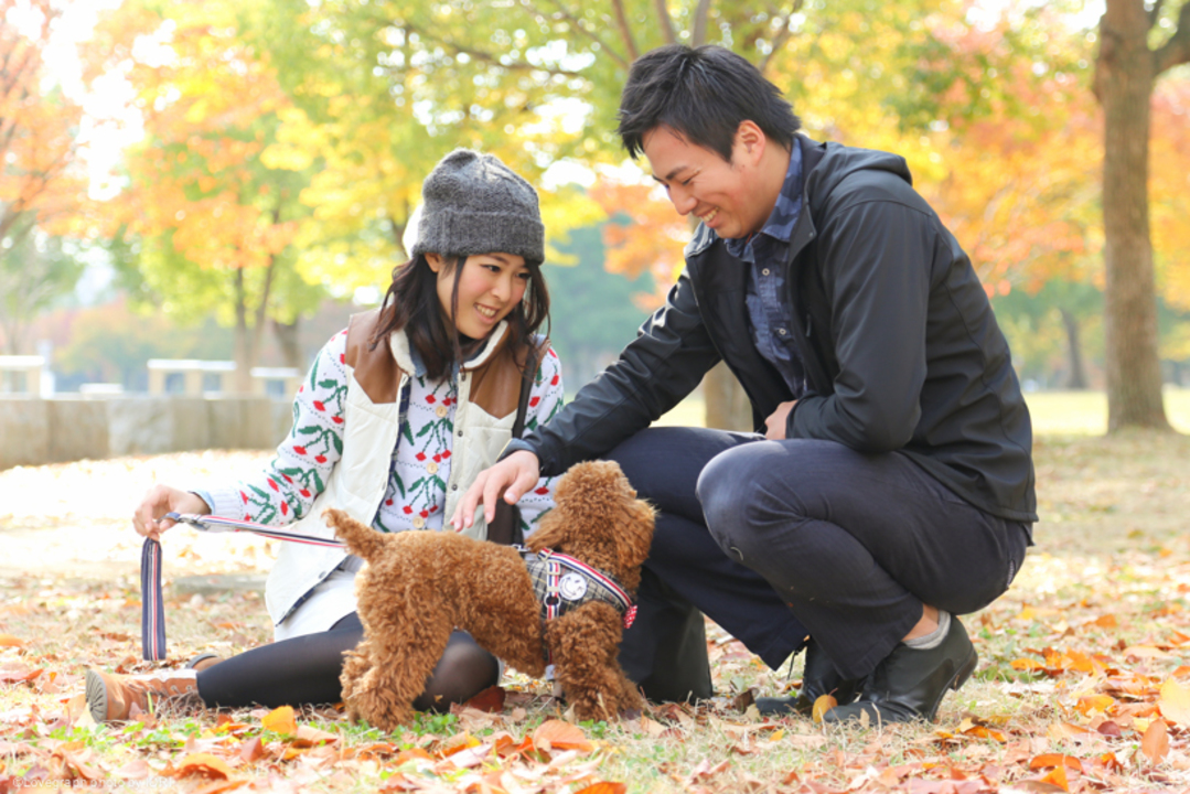 Kenichi × Aoi | 夫婦フォト