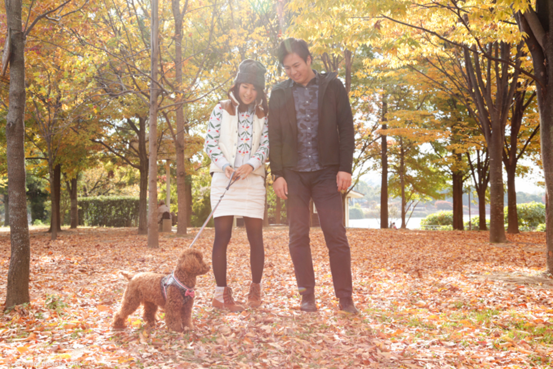 Kenichi × Aoi | 夫婦フォト