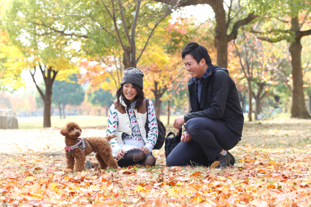 Kenichi × Aoi | 夫婦フォト